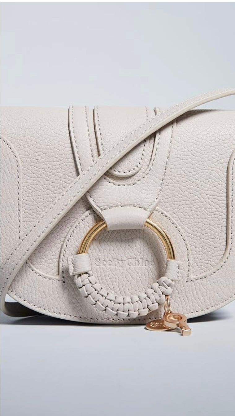 Chloe Hana Mini Saddle Bag