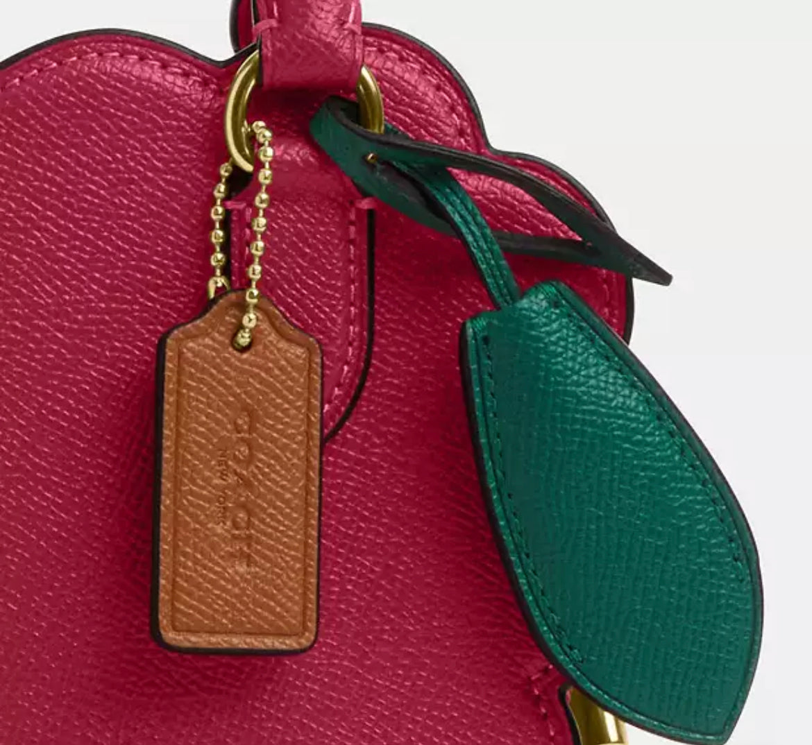 Coach Raspberry Crossbody Bag