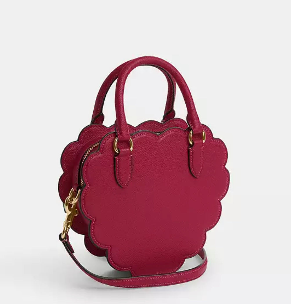 Coach Raspberry Crossbody Bag